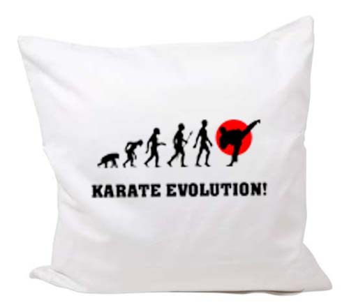 Kissenbezug Kollektion Karate Evolution
