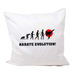 Kissenbezug Kollektion Karate Evolution